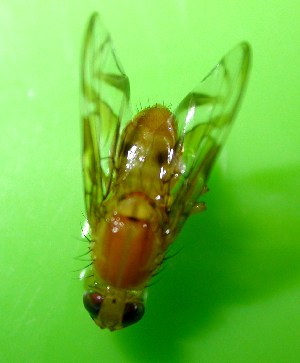  ( - Sample-EPMF35)  @12 [ ] Unspecified (default): All Rights Reserved  Unspecified Unspecified