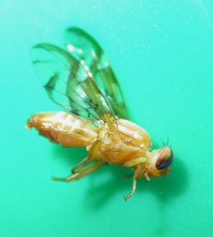  ( - Sample-EPMF95)  @12 [ ] Unspecified (default): All Rights Reserved  Unspecified Unspecified