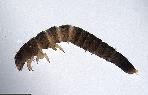  ( - ECORG120-G08)  @11 [ ] CreativeCommons  Attribution Share-Alike (by-sa) (2024) Ecoreg Solutions Ecoreg Solutions