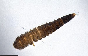  ( - ECORG120-G09)  @11 [ ] CreativeCommons  Attribution Share-Alike (by-sa) (2024) Ecoreg Solutions Ecoreg Solutions