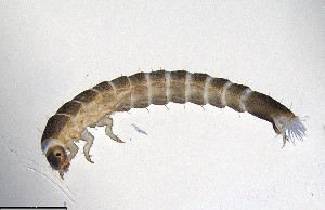  ( - ECORG120-H01)  @11 [ ] CreativeCommons  Attribution Share-Alike (by-sa) (2024) Ecoreg Solutions Ecoreg Solutions