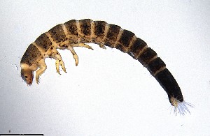  ( - ECORG120-H03)  @11 [ ] CreativeCommons  Attribution Share-Alike (by-sa) (2024) Ecoreg Solutions Ecoreg Solutions