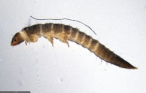  ( - ECORG120-H04)  @11 [ ] CreativeCommons  Attribution Share-Alike (by-sa) (2024) Ecoreg Solutions Ecoreg Solutions