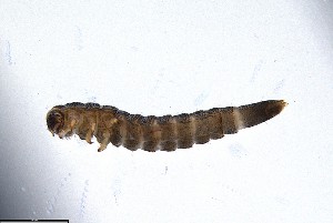  ( - ECORG121-C08)  @11 [ ] CreativeCommons  Attribution Share-Alike (by-sa) (2024) Ecoreg Solutions Ecoreg Solutions