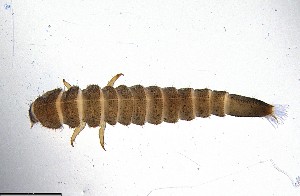  ( - ECORG121-C11)  @11 [ ] CreativeCommons  Attribution Share-Alike (by-sa) (2024) Ecoreg Solutions Ecoreg Solutions