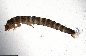  ( - ECORG121-C12)  @11 [ ] CreativeCommons  Attribution Share-Alike (by-sa) (2024) Ecoreg Solutions Ecoreg Solutions