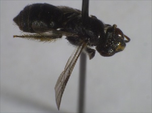  ( - DrumGr3Hym1203)  @12 [ ] Unspecified (default): All Rights Reserved  Unspecified Unspecified