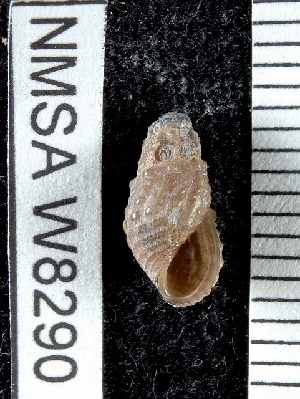  ( - NMSA W8290)  @11 [ ] No Rights Reserved (2012) Unspecified Unspecified
