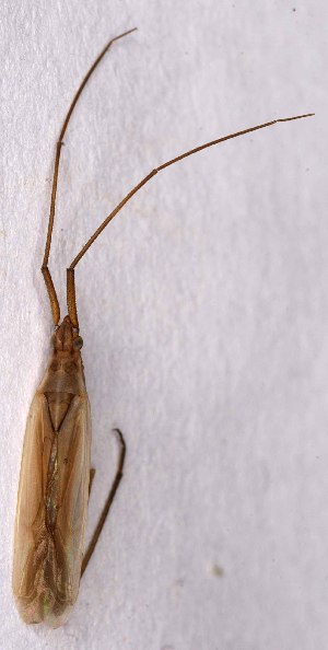  ( - EUBUG_1220_m_Megarect5)  @11 [ ] Unspecified (default): All Rights Reserved  Unspecified Unspecified