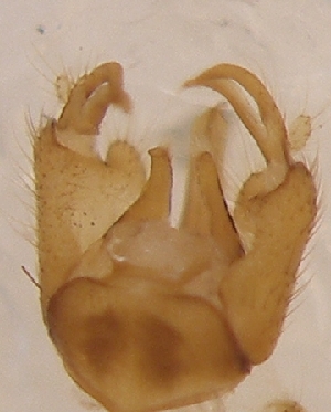  ( - LLMMZ-RO-03-02)  @12 [ ] Unspecified (default): All Rights Reserved  Unspecified Unspecified