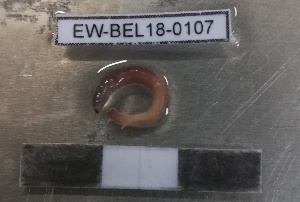  ( - EW-BEL18-0107)  @11 [ ] CreativeCommons - Attribution Non-Commercial Share-Alike (2019) Quentin Gabriac Universite Montpellier, CEFE Lab