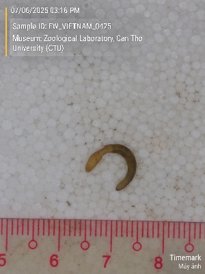  ( - EW_VIETNAM_0425)  @11 [ ] by-nc-sa (2025) Thibaud Deca&euml;ns University of Montpellier