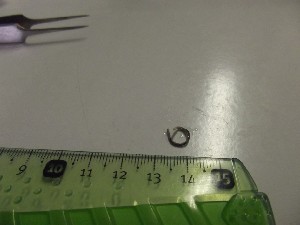  ( - EW-GAB.LBV-0108)  @12 [ ] Copyright (2011) Myrianne Andeime Laboratoire ECODIV, Univ Rouen