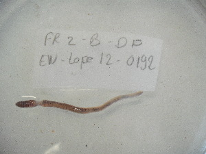  ( - EW-Lope12-0192)  @12 [ ] Copyright (2012) C.Doussot Ecodiv