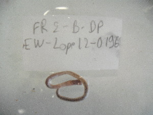  ( - EW-Lope12-0196)  @12 [ ] Copyright (2012) C.Doussot Ecodiv