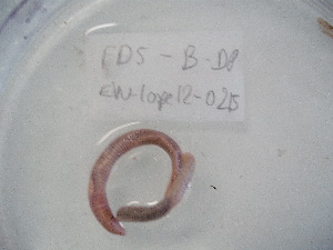  ( - EW-Lope12-0215)  @12 [ ] Copyright (2012) C.Doussot Ecodiv