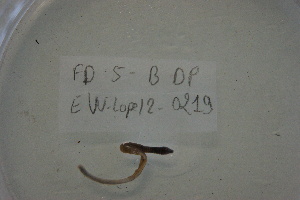  ( - EW-Lope12-0219)  @12 [ ] Copyright (2012) C.Doussot Ecodiv