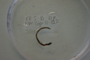  ( - EW-Lope12-0221)  @12 [ ] Copyright (2012) C.Doussot Ecodiv