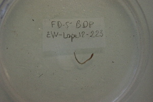  ( - EW-Lope12-0223)  @12 [ ] Copyright (2012) C.Doussot Ecodiv