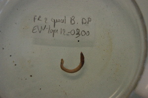  ( - EW-Lope12-0300)  @12 [ ] Copyright (2012) C.Doussot Ecodiv