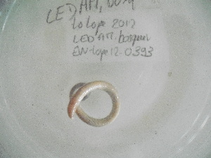  ( - EW-Lope12-0393)  @12 [ ] Copyright (2012) C.Doussot Ecodiv