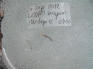  ( - EW-Lope12-0400)  @12 [ ] Copyright (2012) C.Doussot Ecodiv