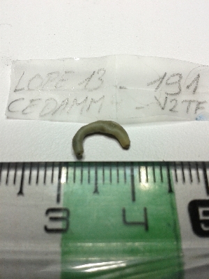  ( - LOPE13-191)  @12 [ ] CreativeCommons - Attribution Non-Commercial Share-Alike (2013) ECODIV Univ Rouen