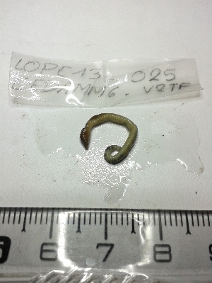  ( - LOPE13-026)  @12 [ ] CreativeCommons - Attribution Non-Commercial Share-Alike (2013) ECODIV Univ Rouen