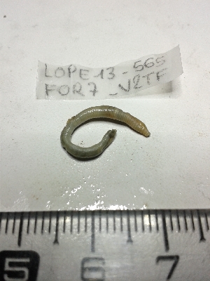  ( - LOPE13-565)  @12 [ ] CreativeCommons - Attribution Non-Commercial Share-Alike (2013) ECODIV Univ Rouen