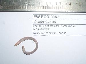  ( - EW-ECO-0357)  @12 [ ] Unspecified (default): All Rights Reserved  Unspecified Unspecified