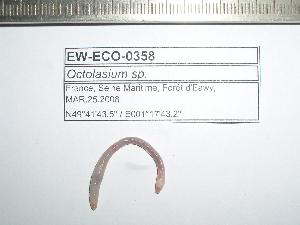  ( - EW-ECO-0358)  @12 [ ] Unspecified (default): All Rights Reserved  Unspecified Unspecified