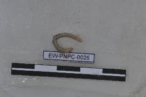  ( - EW-PNPC-0025)  @11 [ ] CreativeCommons - Attribution Non-Commercial Share-Alike (2018) Thibaud Decaens CEFE Lab