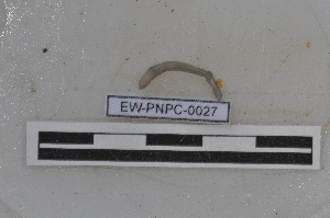  ( - EW-PNPC-0027)  @11 [ ] CreativeCommons - Attribution Non-Commercial Share-Alike (2018) Thibaud Decaens CEFE Lab