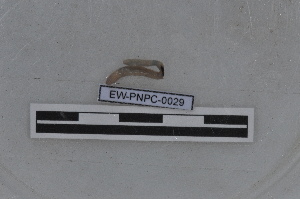 ( - EW-PNPC-0029)  @11 [ ] CreativeCommons - Attribution Non-Commercial Share-Alike (2018) Thibaud Decaens CEFE Lab