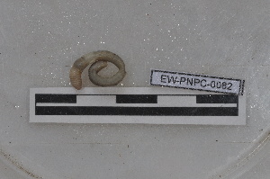  ( - EW-PNPC-0082)  @11 [ ] CreativeCommons - Attribution Non-Commercial Share-Alike (2018) Thibaud Decaens CEFE Lab
