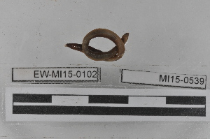  ( - EW-MI15-0102)  @12 [ ] CreativeCommons - Attribution Non-Commercial Share-Alike (2015) Thibaud Deca&euml;ns Universite Montpellier, CEFE Lab