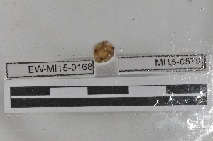  ( - EW-MI15-0168)  @12 [ ] CreativeCommons - Attribution Non-Commercial Share-Alike (2015) Thibaud Decaëns Universite Montpellier, CEFE Lab