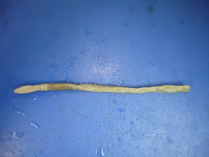  ( - WH3P10)  @12 [ ] CreativeCommons - Attribution Non-Commercial Share-Alike (2010) Chih-Han Chang The Research Collection of Chih-Han Chang