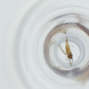  ( - FACE_139_H10)  @11 [ ] by  Genome Research Ltd as Wellcome Sanger Institute Genome Research Limited operating as Wellcome Sanger Institute