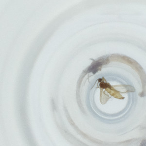  ( - FACE_139_H3)  @11 [ ] by  Genome Research Ltd as Wellcome Sanger Institute Genome Research Limited operating as Wellcome Sanger Institute