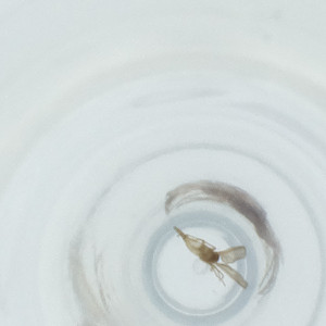  ( - FACE_140_A3)  @11 [ ] by  Genome Research Ltd as Wellcome Sanger Institute Genome Research Limited operating as Wellcome Sanger Institute