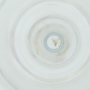  ( - FACE_295_B10)  @11 [ ] by  Genome Research Ltd as Wellcome Sanger Institute Genome Research Limited operating as Wellcome Sanger Institute