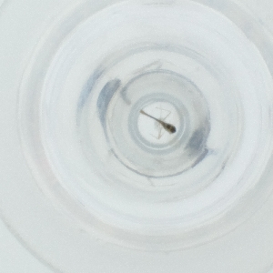  ( - FACE_296_C9)  @11 [ ] by  Genome Research Ltd as Wellcome Sanger Institute Genome Research Limited operating as Wellcome Sanger Institute