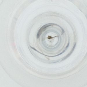  ( - FACE_296_D11)  @11 [ ] by  Genome Research Ltd as Wellcome Sanger Institute Genome Research Limited operating as Wellcome Sanger Institute