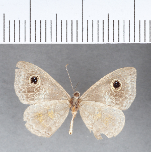  ( - CFC10441)  @11 [ ] Copyright (2018) Center For Collection-Based Research Center For Collection-Based Research