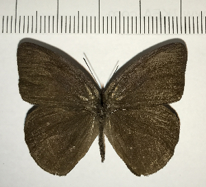  ( - CFC11338)  @11 [ ] Copyright (2018) Center For Collection-Based Research Center For Collection-Based Research