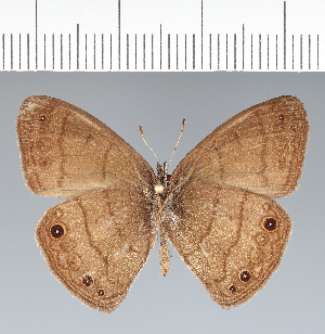  ( - CFC11476)  @11 [ ] copyright (2022) Center For Collection-Based Research Center For Collection-Based Research