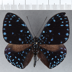  ( - CFC12269)  @11 [ ] Copyright (2019) Center For Collection-Based Research Center For Collection-Based Research