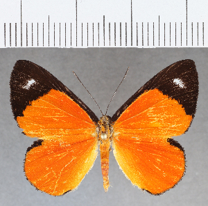  ( - CFC12758)  @11 [ ] Copyright (2019) Center For Collection-Based Research Center For Collection-Based Research