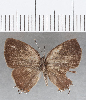  ( - CFC13304)  @11 [ ] Copyright (2019) Center For Collection-Based Research Center For Collection-Based Research